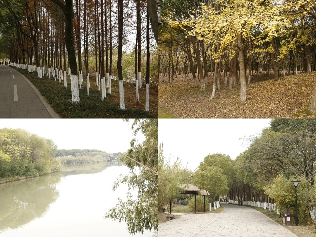 1609913977611301.jpg 4.webp.jpg